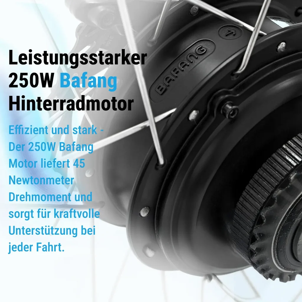 E-Bike mit 250W Motorantrieb